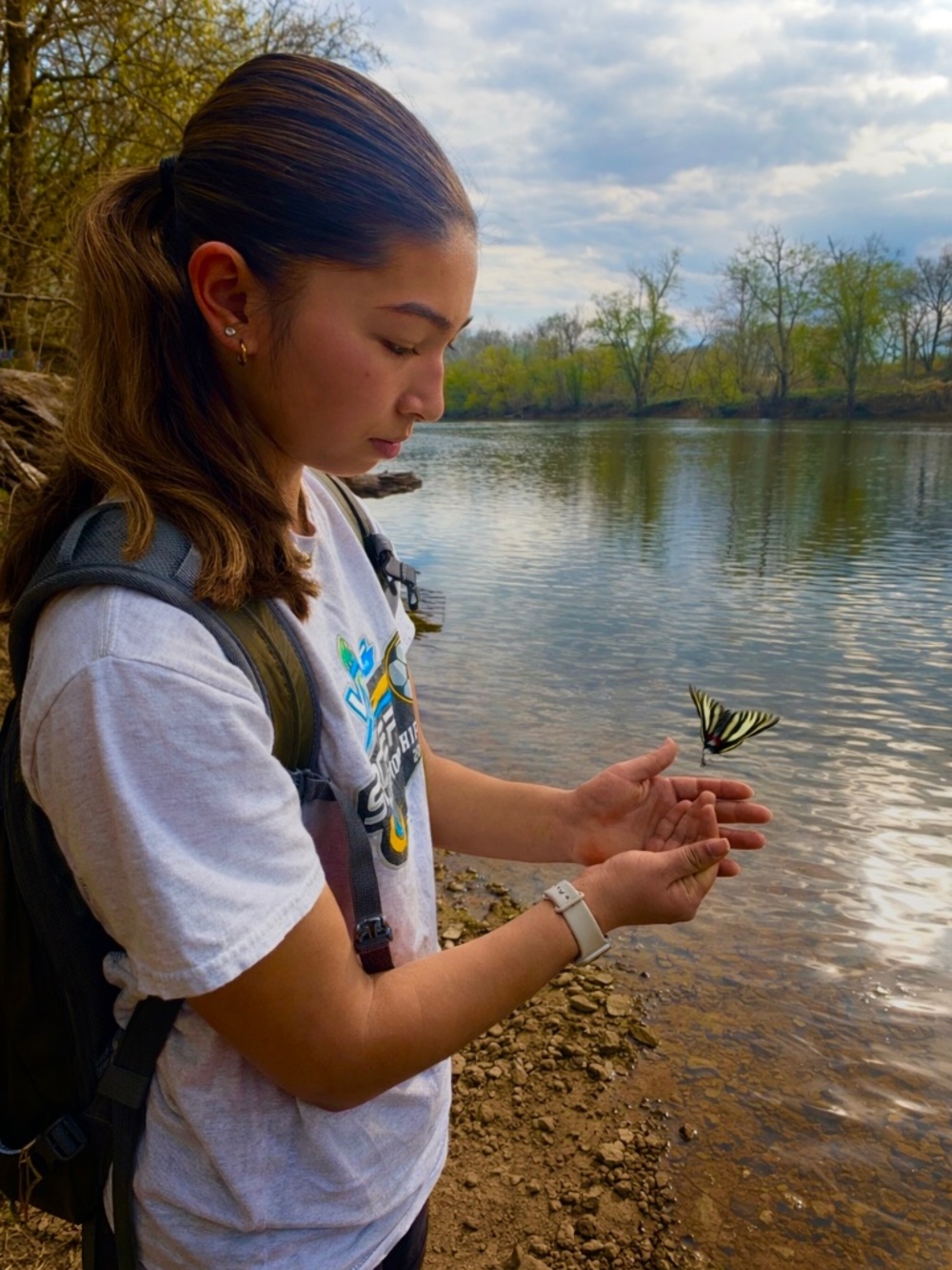 Meet your Posher, Cadence